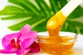 Sugar paste or wax honey for hair removing flows down from wooden waxing spatula sticks. flower background - depilation