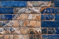 Deplete the bas-relief with the muzzle of a bull on the Ishtar Gate of Babylon Royalty Free Stock Photo