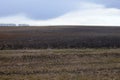 Depleted agricultural field on a cloudy evening. Moody landscape