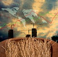 Deplorable concept, Rice paddy in wooden tray with growth charts Royalty Free Stock Photo