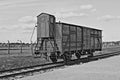 Deportation wagon at Auschwitz Birkenau