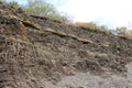 Deposits of the Upper Devonian mudstone and siltstone horizon Royalty Free Stock Photo