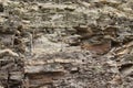 Deposits of the Upper Devonian mudstone and siltstone horizon Royalty Free Stock Photo