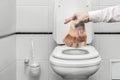 Depreciation of the currency the Russian ruble - a person throws money into the toilet. Loss of value , inflation and low exchange Royalty Free Stock Photo