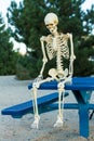 Depressed skeleton sits sadly on a picnic table