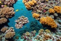 In the depths of the ocean, a vibrant coral reef pulsates with life, as schools of fish dart among the intricate coral