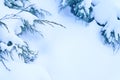 In the depths of the snow, a close-up of parts of tree branches covered with the first snow. Soft focus. With a space to