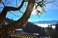 The Hongar mountain in autumn in the fog, Voecklabruck, Austria, Europe