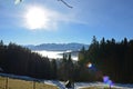 The Hongar mountain in autumn in the fog, Voecklabruck, Austria, Europe