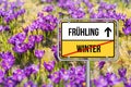 Der FrÃÂ¼hling kommt. Krokusse in der FrÃÂ¼hlingssonne. Royalty Free Stock Photo