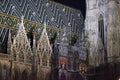 St. Stephen`s Cathedral in Vienna at night, Austria, Europe