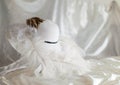Derby hat with feathers Royalty Free Stock Photo