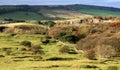 Derbyshire Dales near Buxton Royalty Free Stock Photo