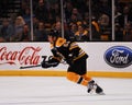 Derek Morris, Boston Bruins Royalty Free Stock Photo