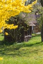 derelict barn at a cottage garden in rural countryside of south