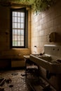 Derelict Bathroom with Porcelain Sink + Tall Window - Abandoned Creedmoor State Hospital - New York