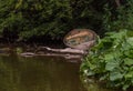 Derelict Boat in the Elzbach water stream near Eltz Castle Royalty Free Stock Photo