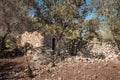 Derelict building in Balagne region of Corsica