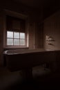 Derelict Hydrotherapy Bathtub - Abandoned Laurelton State Hospital - Pennsylvania