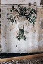 Derelict Tree Mural - Abandoned Central Islip State Hospital - New York Royalty Free Stock Photo