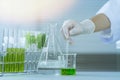 Green herbal medicine research discovery vaccine at science lab Royalty Free Stock Photo