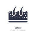 dermis icon on white background. Simple element illustration from Medical concept