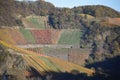 Dernau, Germany - 11 06 2020: vineyards like a ancient Greek theatre