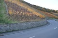 Dernau, Germany - 11 06 2020: s-curve at a vineyards wall in autumn