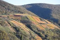 Dernau, Germany - 11 06 2020: Steep vineyards high above Ahr valley