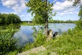 Des milles Iles river scene of a cut tree by beaver on Locas island in Ste-Rose Laval