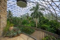 Des Moines Botanical Garden inner dome Royalty Free Stock Photo