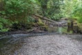 Des Moines Creek Landscape 2