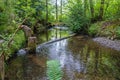 Des Moines Creek Landscape 7