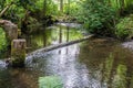 Des Moines Creek Landscape 8