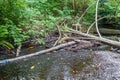 Des Moines Creek Logjam 2