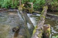 Des Moines Creek Logs 2 Royalty Free Stock Photo