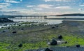 Des Moines Low Tide Pier 4 Royalty Free Stock Photo