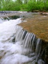 Des Plaines Conservation Area Illinois Royalty Free Stock Photo