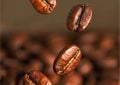 coffee beans background collection with white area for copy space. Royalty Free Stock Photo