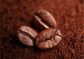 coffee beans background collection with white area for copy space. Royalty Free Stock Photo