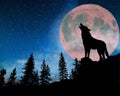Wolves howl at the full moon Royalty Free Stock Photo