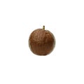 photo of cupuacu fruit on a white background Royalty Free Stock Photo