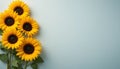 sunflowers on a background, Royalty Free Stock Photo