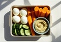 Healthy Bento Box with Hummus and Veggies Royalty Free Stock Photo