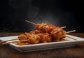 Delicious Grilled Chicken Satay with Spicy Peanut Sauce on White Plate Royalty Free Stock Photo