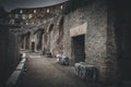 Desaturated darken passage way trough old brick ruins Royalty Free Stock Photo