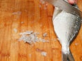 Descaling fresh sea bream on a wooden table with a knife. Pile of scales on the table