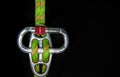 Descender with Gigi plate and oval carabiner on black background