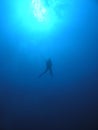 Descending diver into the blue