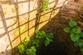 Descent into a brick well with a rusty metal staircase